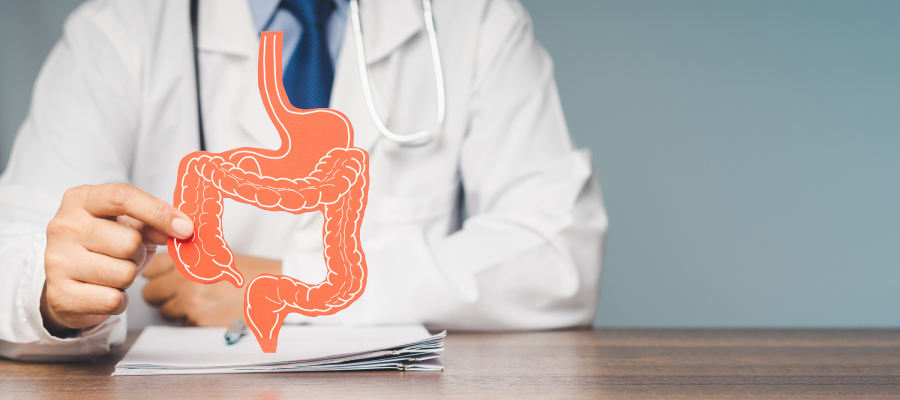 İshal gibi sindirim sistemi sorunlarını anlatmak üzere bağırsak maketi tutan bir doktor