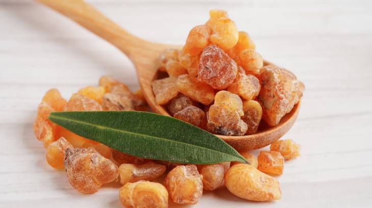 Akgünlük Sakızı (Boswellia Serrata) Faydaları Nelerdir?